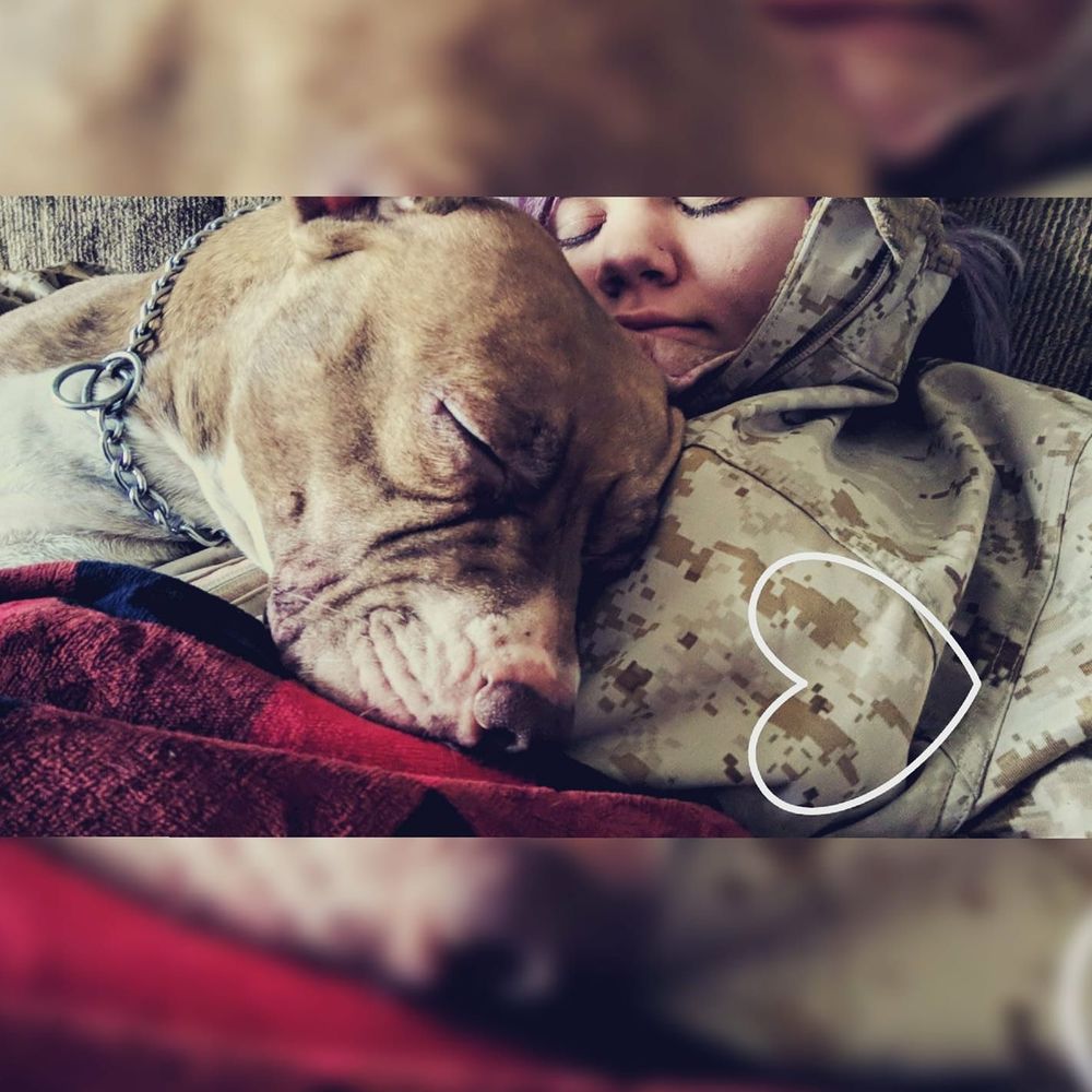 Meet your Posher, Britney